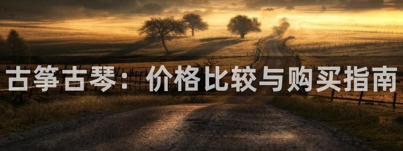 凯发手机官网客户端:古筝古琴:价格比较与购买指南