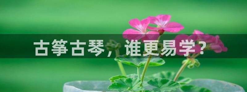 凯发在线官网登录下载:古筝古琴,谁更易学?