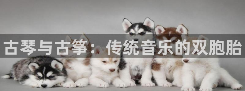 凯发娱网址是什么:古琴与古筝:传统音乐的双胞胎