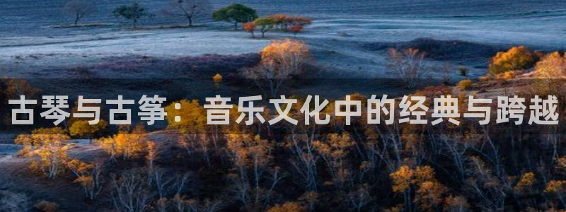 凯发国际平台app:古琴与古筝:音乐文化中的经典与跨越