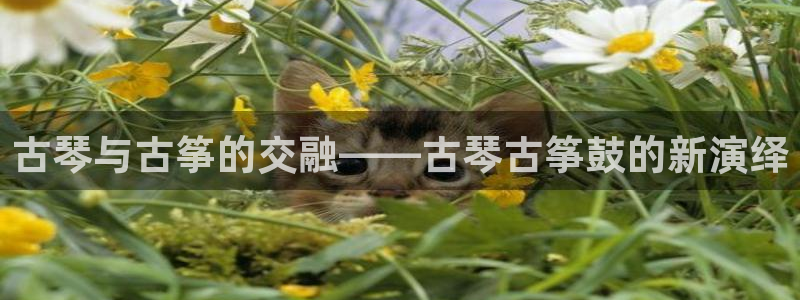 凯发旗舰厅官网:古琴与古筝的交融——古琴古筝鼓的新演绎